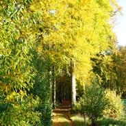 DSC07532-1.jpg