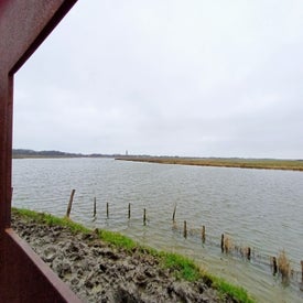 20231205_134331-1.jpg