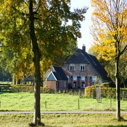 DSC07530.jpg