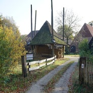DSC07525.jpg