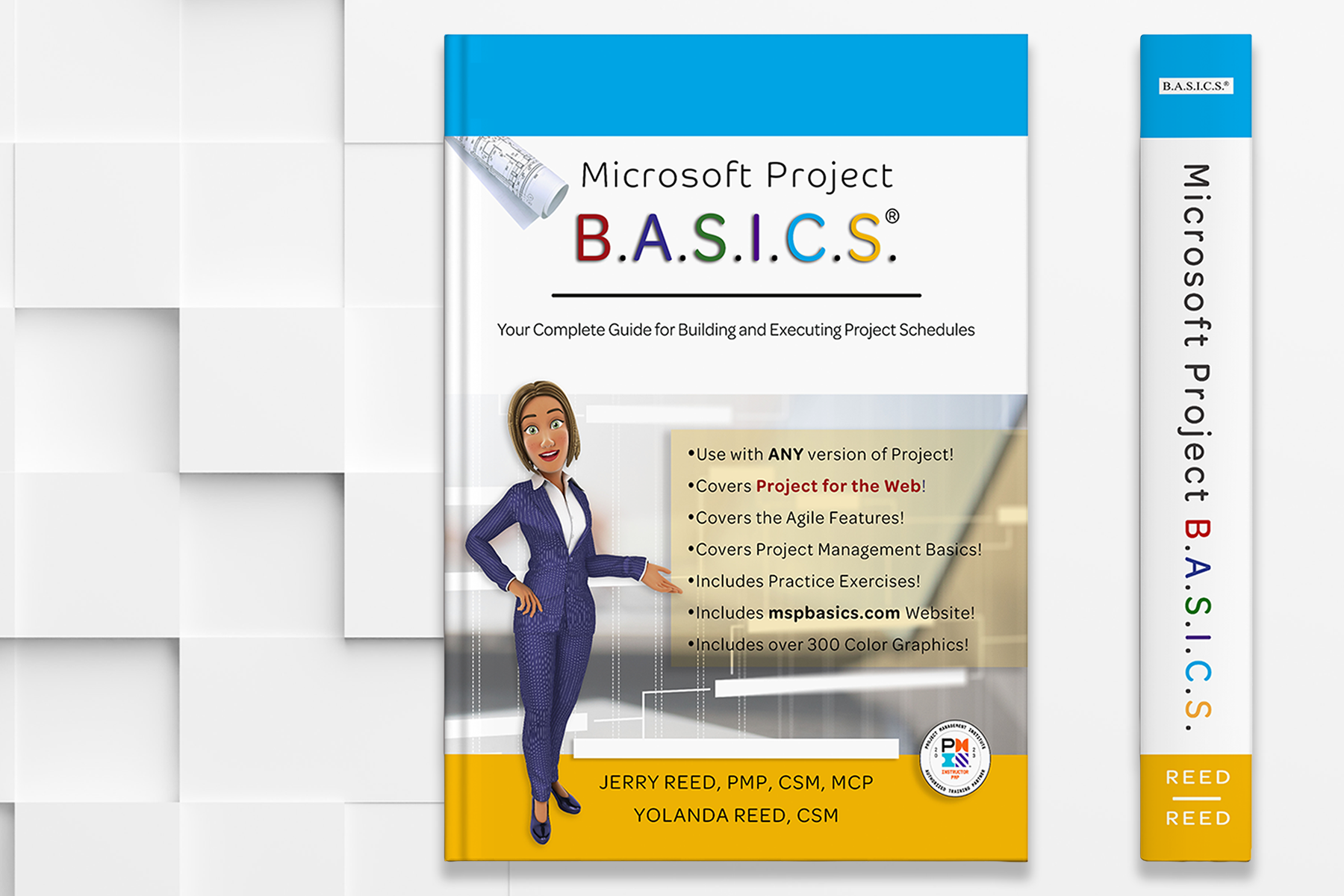 Microsoft Project B.A.S.I.C.S. — Book Only