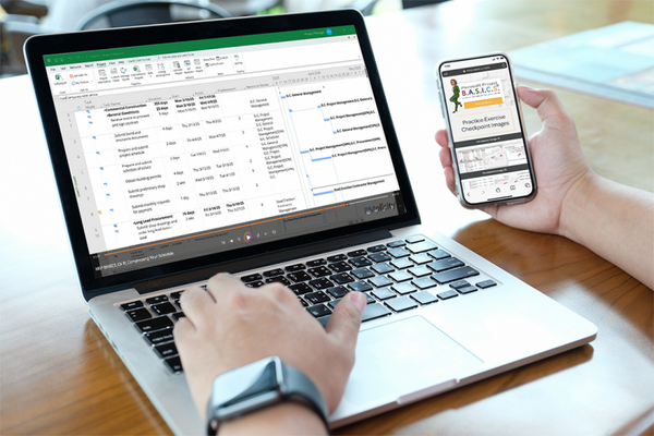 Microsoft Project B.A.S.I.C.S. — Video Course (1 Year)