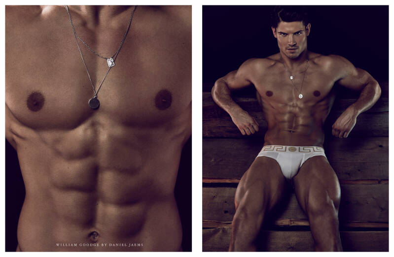 THE BEST OF WILLIAM GOODGE