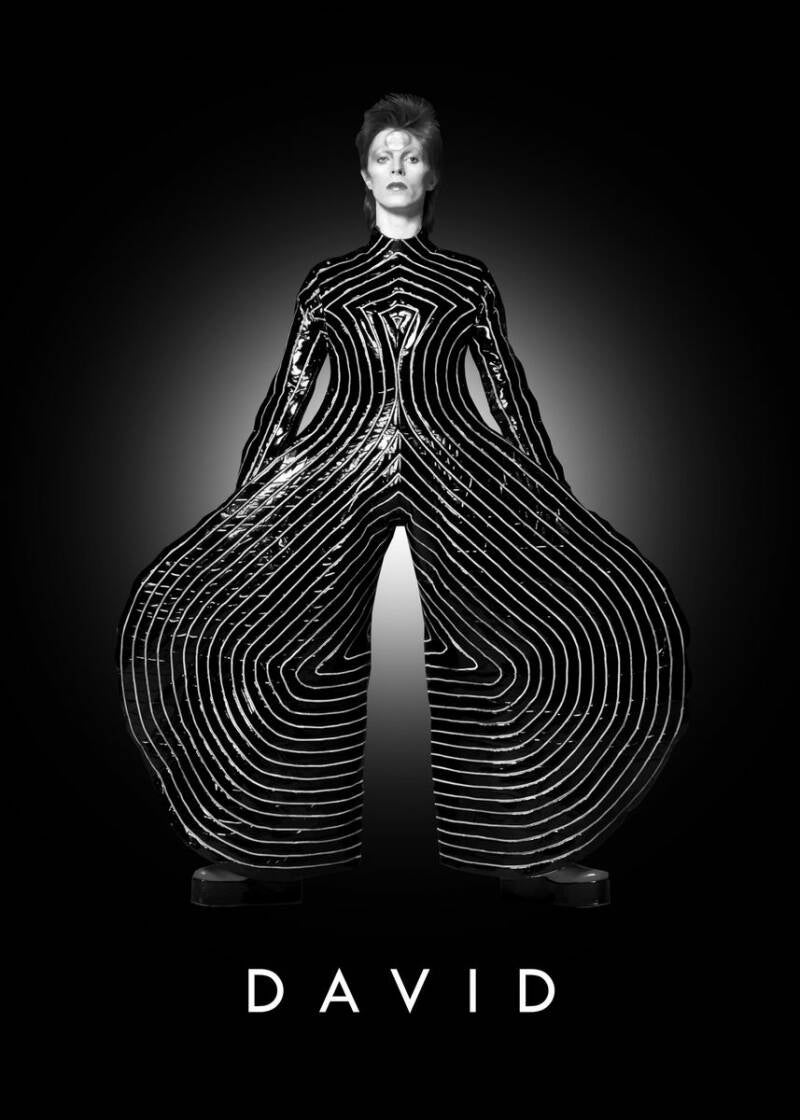 DAVID BOWIE - METAL ART PRINT