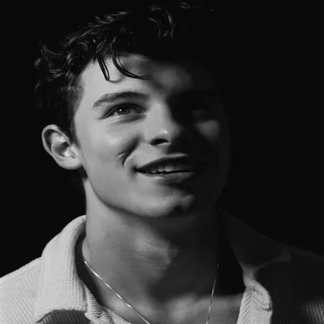 shawn-mendes112-standard.webp