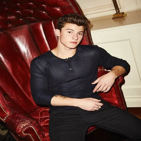 shawn-mendes125-standard.webp