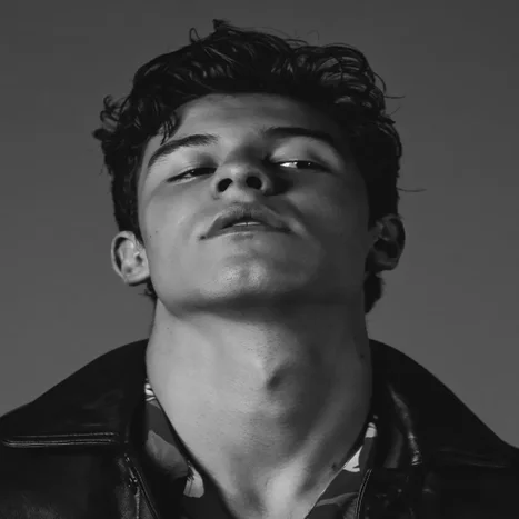 shawn-mendes9-standard.webp