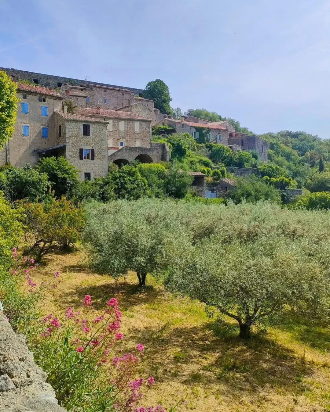 Village en pierre et oliviers en Sud Ardèche pour illustrer le cadre de vie local