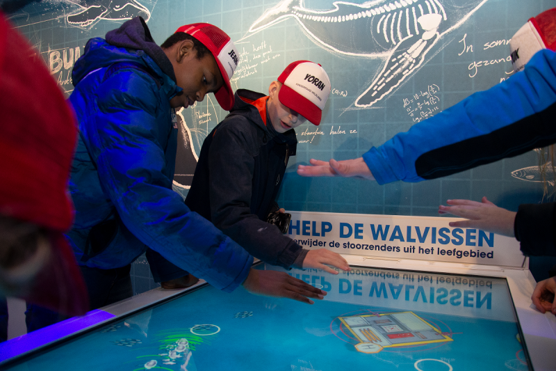 sonar station wildlands