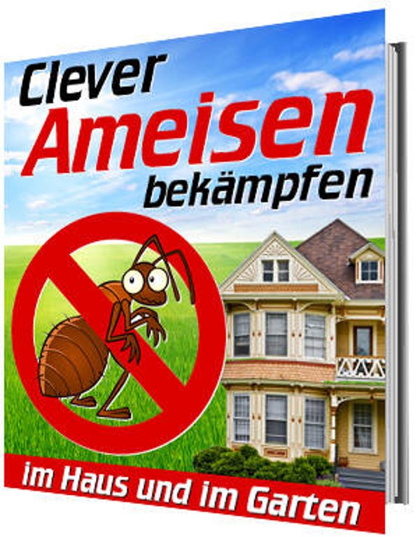Clever Ameisen bekämpfen