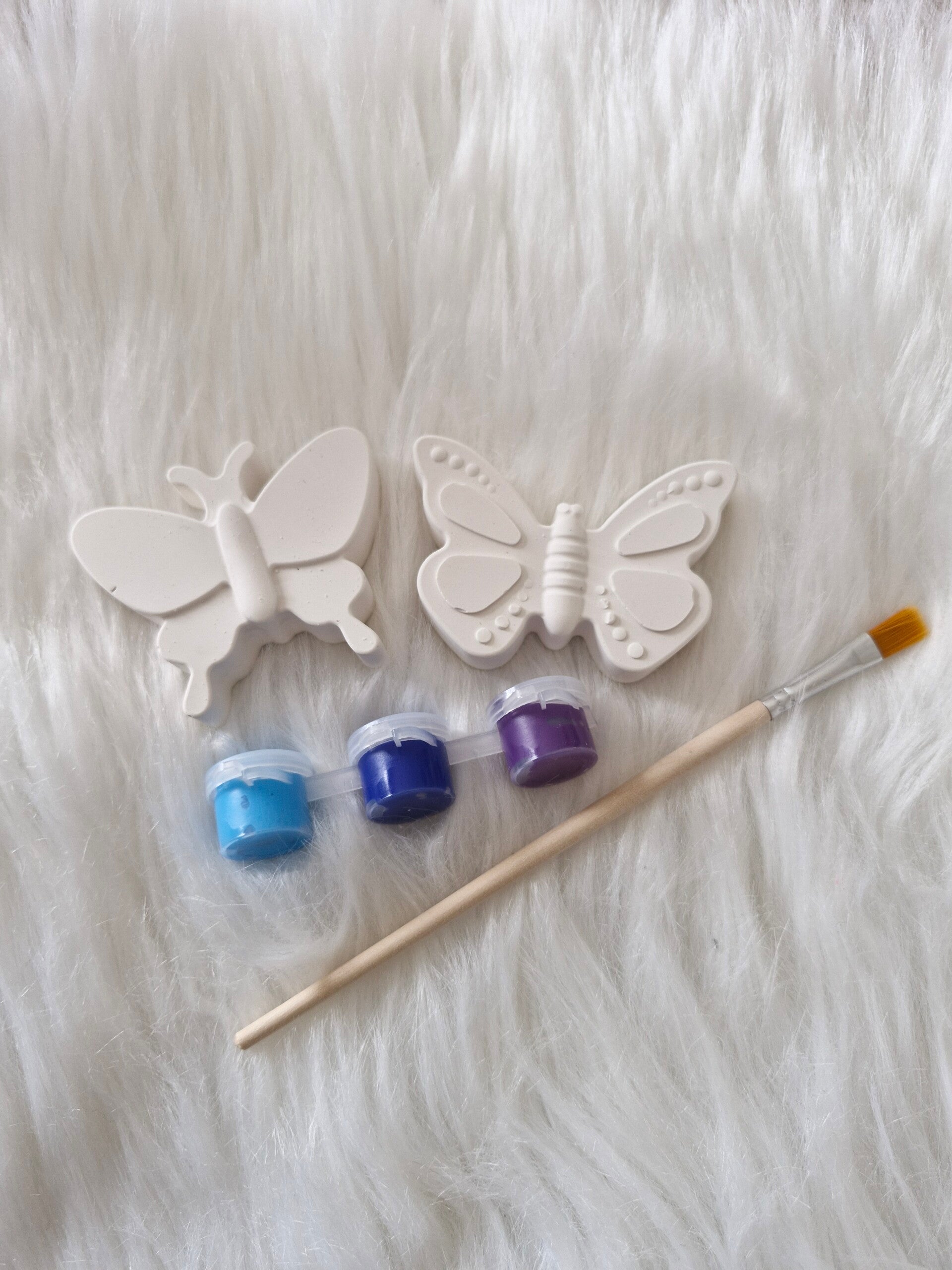 Papillon 1*