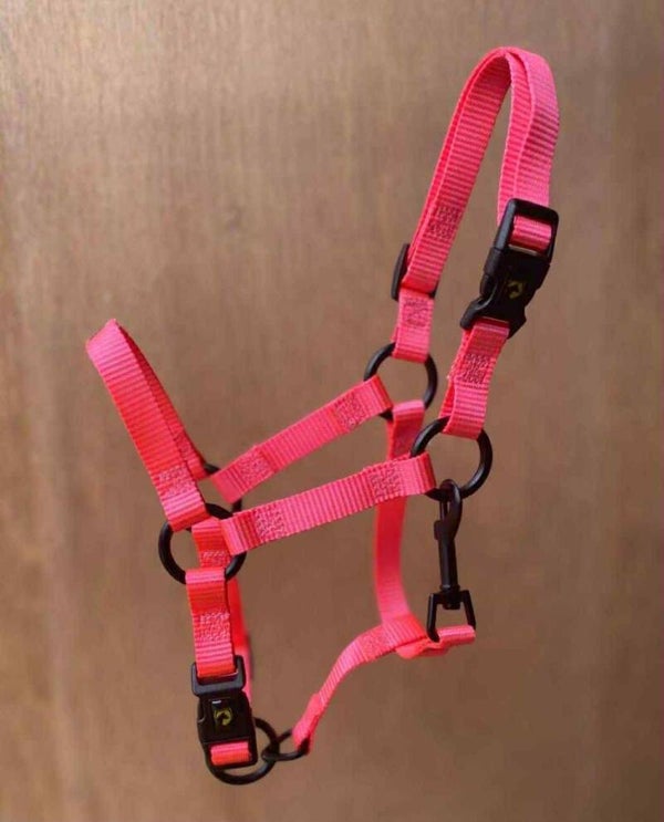 Excellent Halster Essential