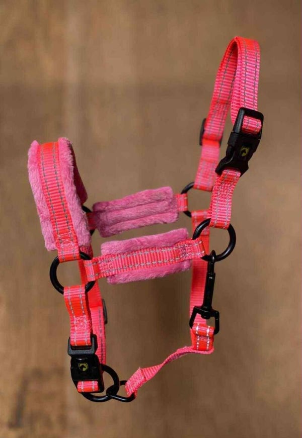 Excellent Halster Superior