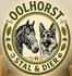 Oolhorst Stal &amp; Dier