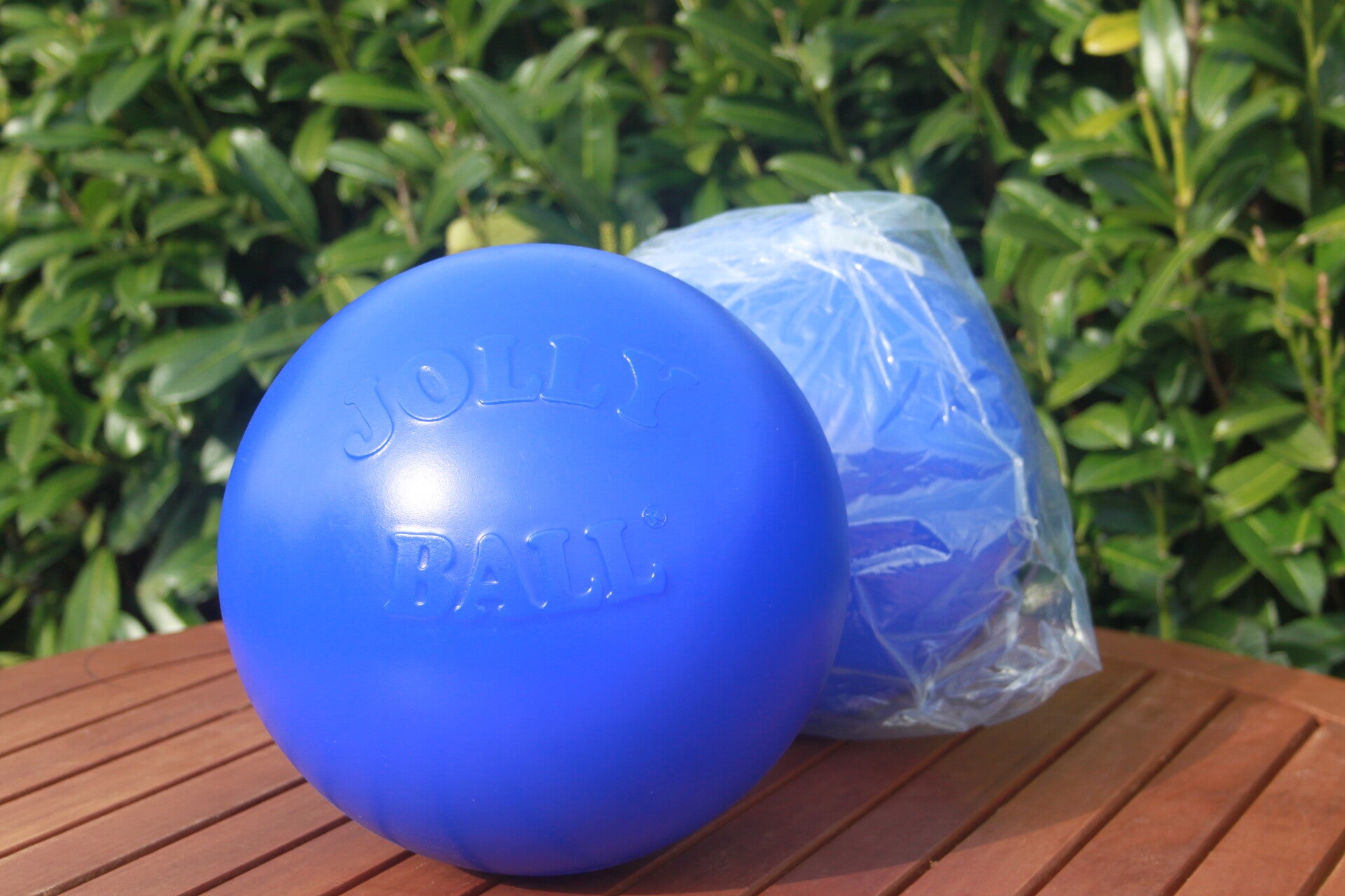 Jolly Ball Push-n-Play