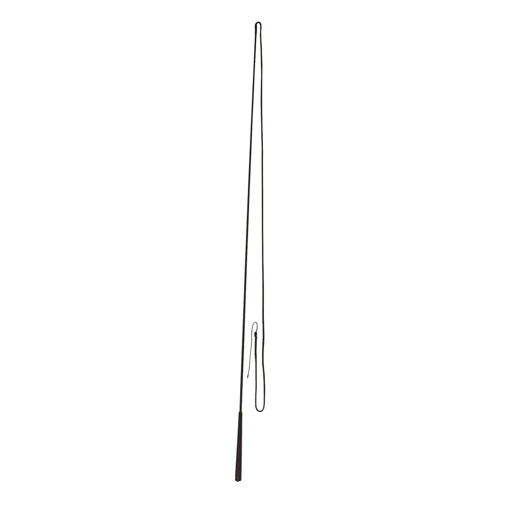Longeerzweep 180 cm