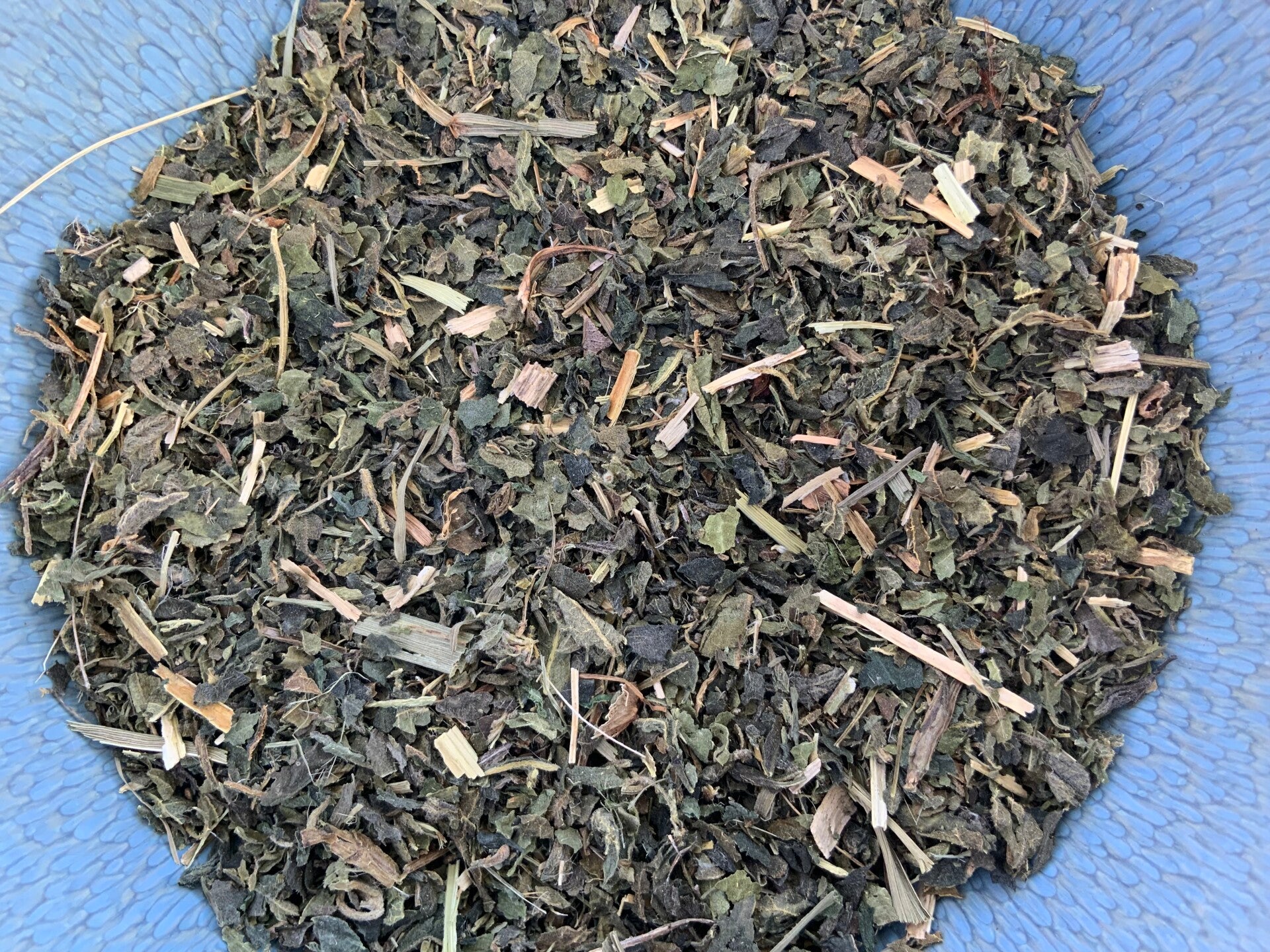 Brandnetel (kruid) - Urtica Dioica L.