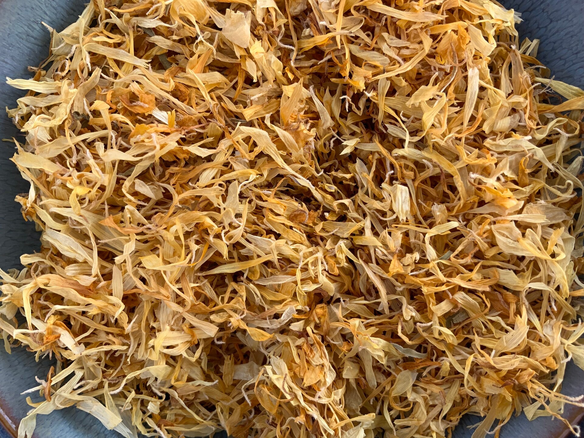 Goudsbloem - Calendula officinalis L.