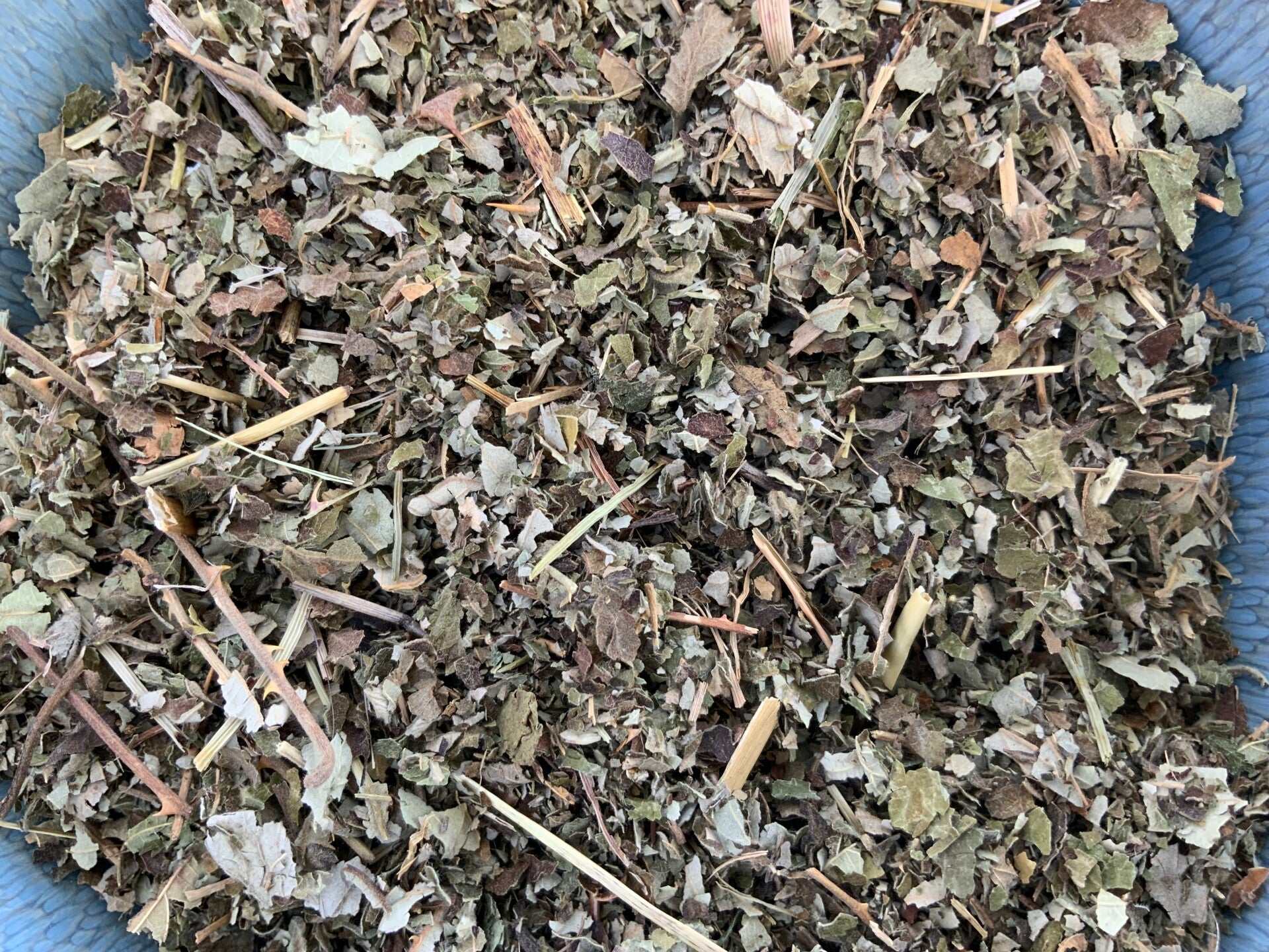 Braam blad - Rubus Fruticosus Sm.