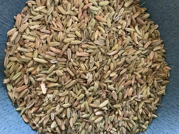 Venkel vrucht - Foeniculum vulgare Mill.