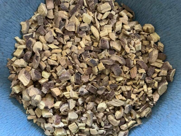 Zoethout wortel - Glycyrrhiza glabra L.