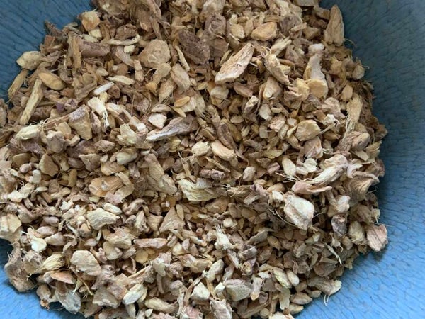 Gember wortel - Zingiber officinale Roscoe