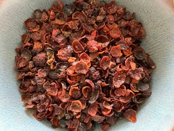 Rozenbottel - Rosa canina L.