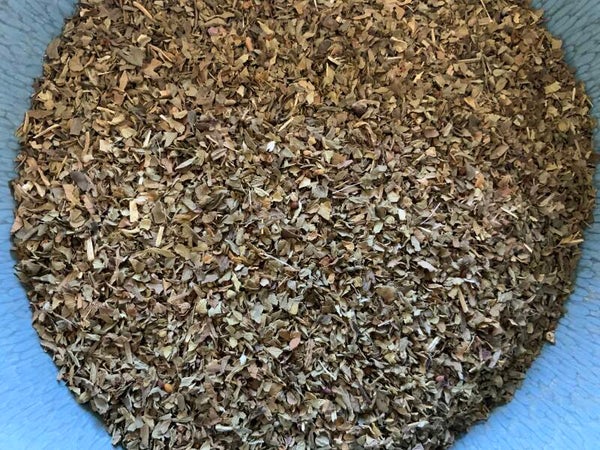 Basilicum - Ocimum basilicum L.