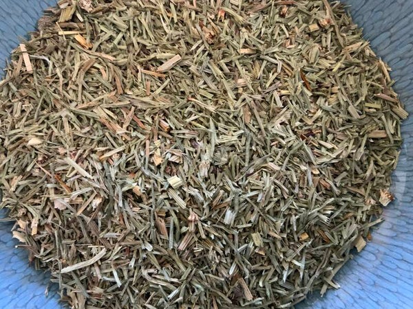 Heermoes - Equisetum arvense L.