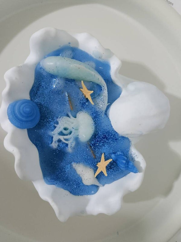 coquillage
