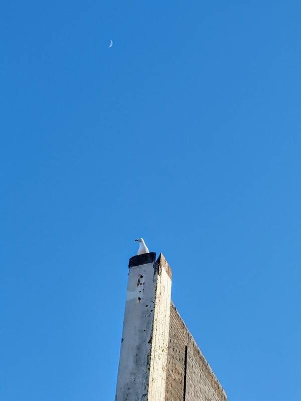 Ringersfabriek Alkmaar 1