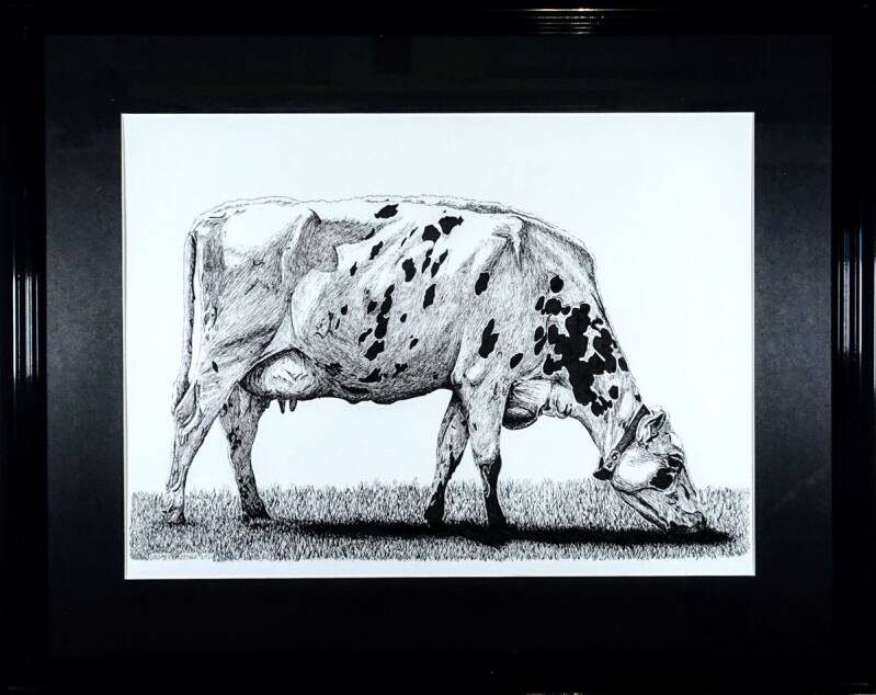 Dromertje (2019) 39x26cm. pentekening van mijn favoriete koe. Ze heeft vaak een heel dromerige blik, alsof ze heel ver weg is met haar gedachten. Ze is heel makkelijk en ziet er geweldig uit (voor een koe dan).