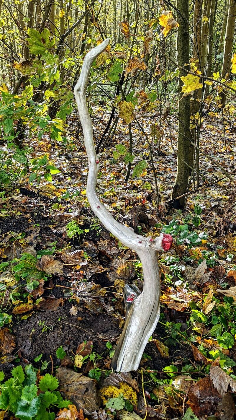 Hout Heilooërbos Kuillaan t.o. de ijsbaan 81cm hoog, 20cm diep, 49cm breed Het hout lag op deze plek en waarschijnlijk is door een bosbeheerder van een grotere tak af gezaagd. 