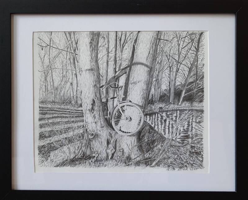Tekening Fiets in de boom. Hoe is die daar gekomen en wie heeft hem weggehaald? De Karremel Heiloo 2021, 25x20cm.