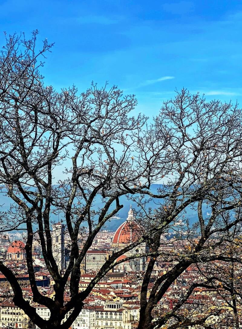 Cupola del Brunelleschi from Belvedere Vittorio Sermonti Firenze