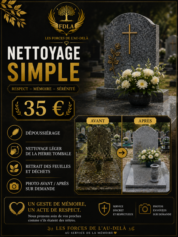 Nettoyage simple Tombe du Défunt