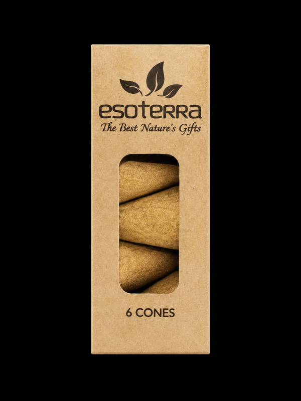 Cônes de Palo Santo non traités 6pcs