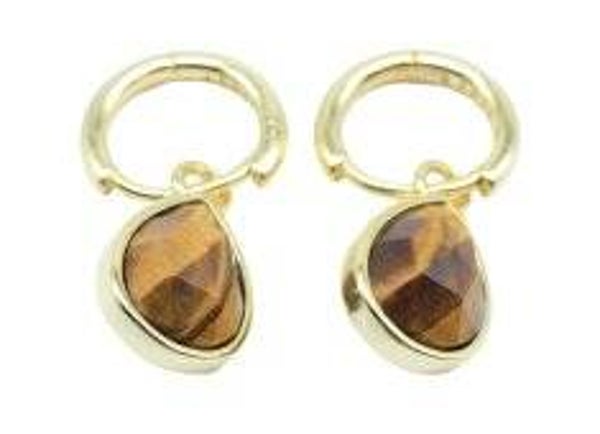 Boucles d'oreilles Argent 925 'Halo Minéral' - Oeil de Tigre
