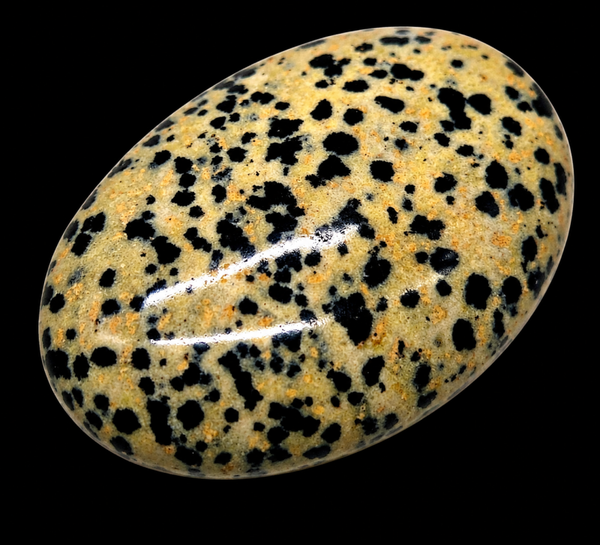 Galet Roulé XL Jaspe Dalmatien