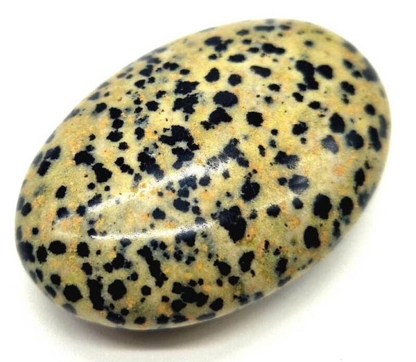 Galet Roulé XL Jaspe Dalmatien