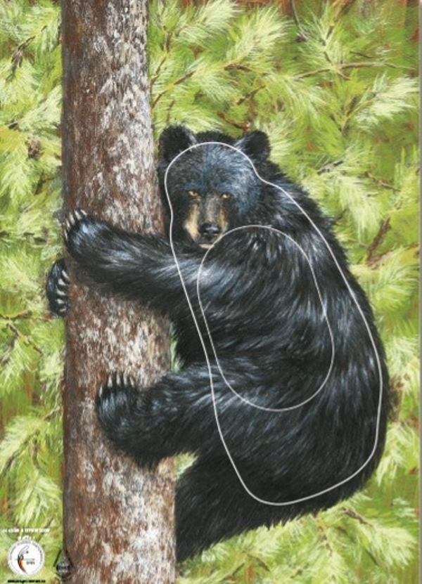 Schwarzbär Tierbild Zielscheibenauflagen