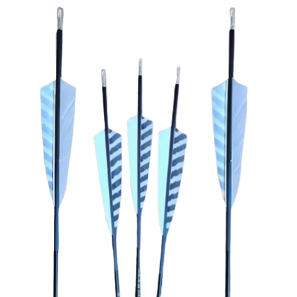 Carbonpfeil Inceptor 700