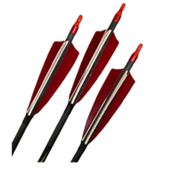 Carbonpfeil Sprint 600