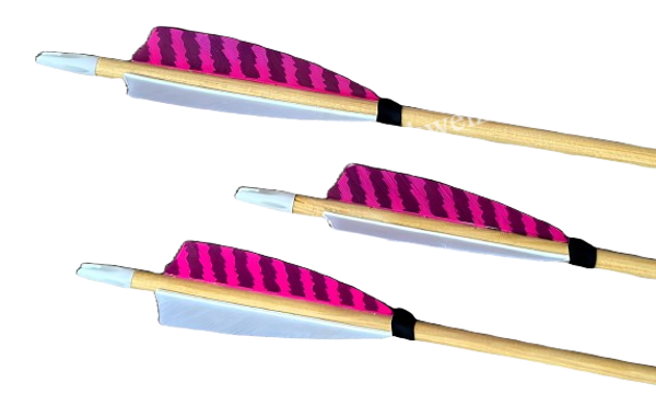 Kiefer Holzpfeil  Trois JVD