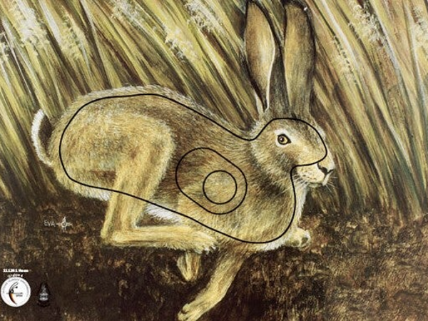 Kaninchen Tierbild Zielscheibenauflagen