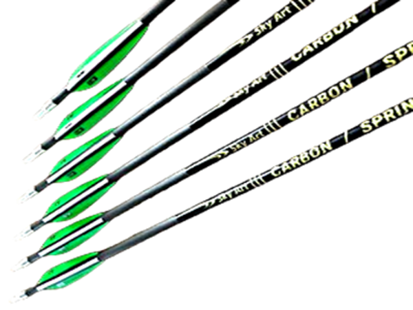 Carbonpfeil Sprint ICE 500/0.001"