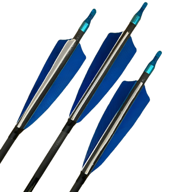 Carbonpfeil SkyArt Sprint 500