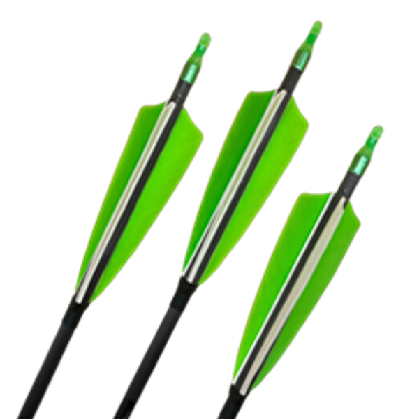 Carbon Pfeil Sprint 500. Carbon  Jagdpfeil