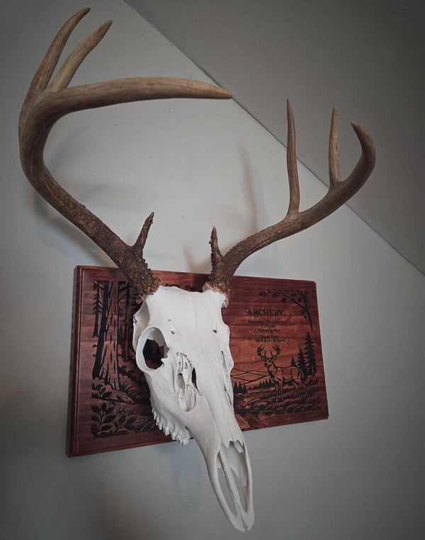 Custom Laser-Engraved Euro Mount Plaque with Hook