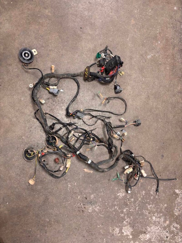 Faisceau électrique homologué Masai 600